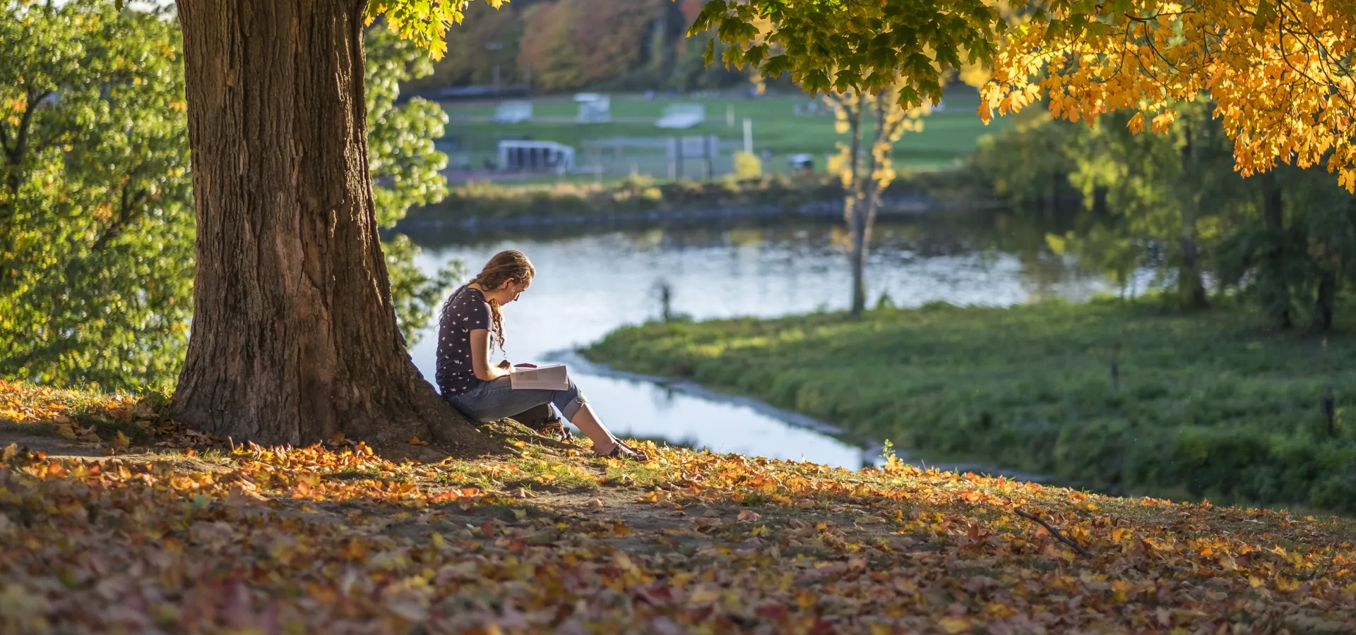 A student sitting under a tree near Paradise Pond.
