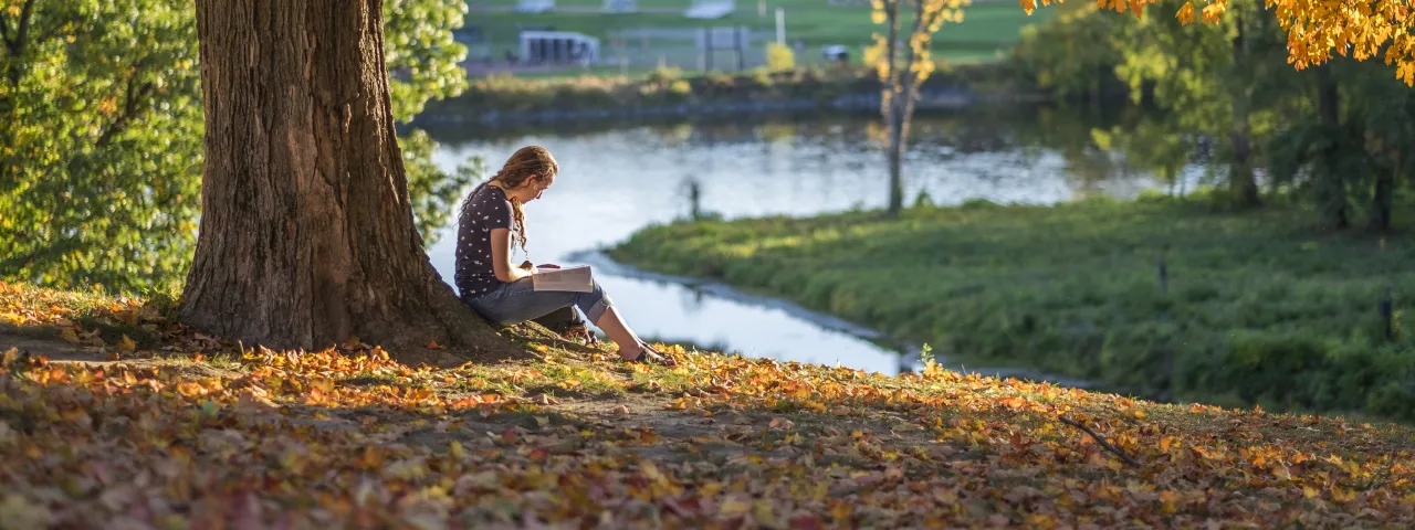 A student sitting under a tree near Paradise Pond.