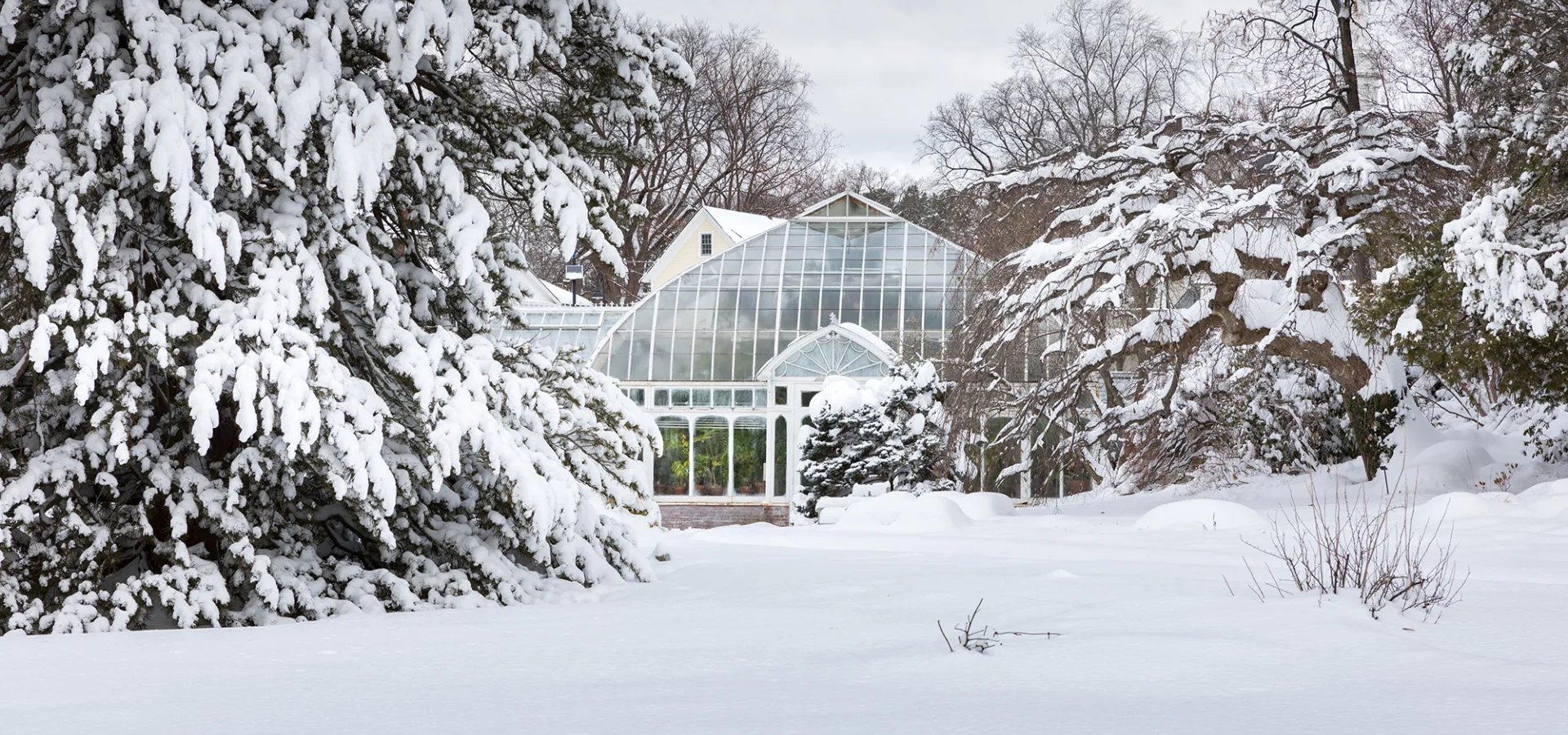 Lyman Plant House in the snow.