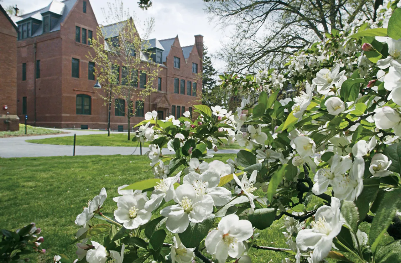 building and flowers