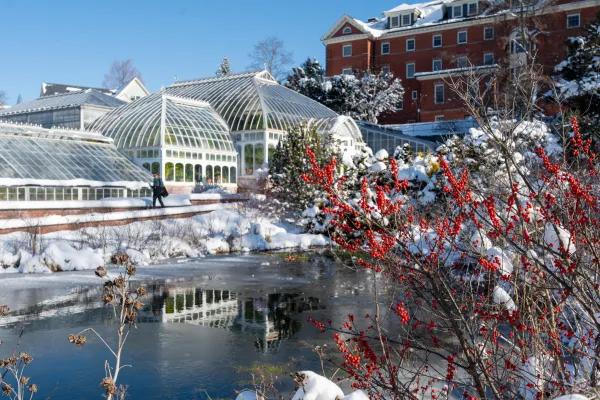 Snow covering the Lyman Plant House