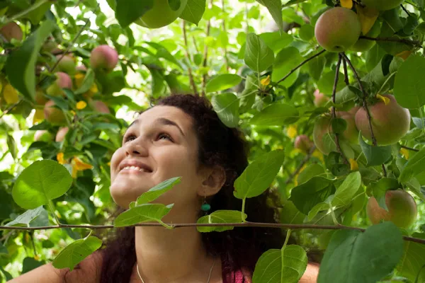 Picking Apples
