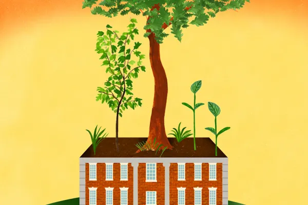 color illustration of brick building with green tree growing out of it for CEEDS