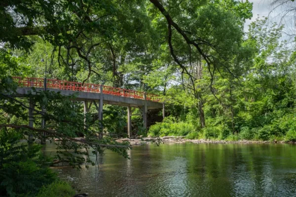 Lamont Bridge