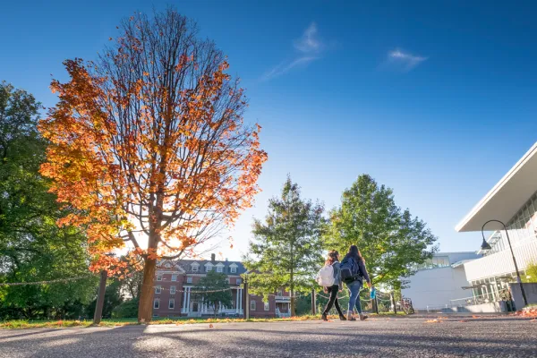 sun shining through a tree in front of the Smith Campus Center
