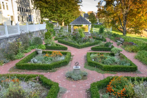 Happy Chase garden