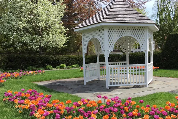 Capen garden with the flowers in bloom