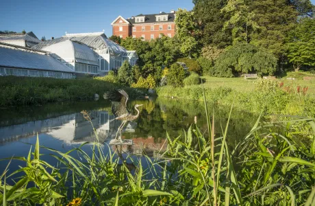 Lyman Conservatory and heron statue.