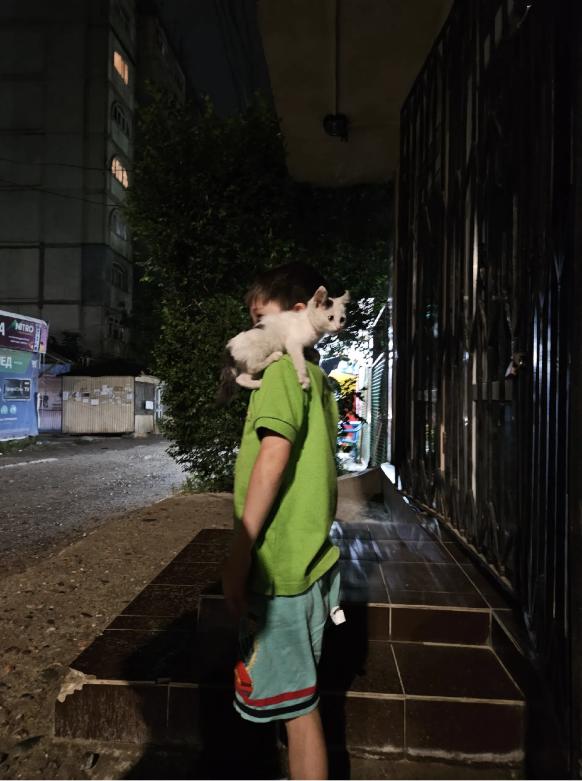 A young boy in a green shirt stands on a sidewalk with a black and white kitten perched on his shoulder.