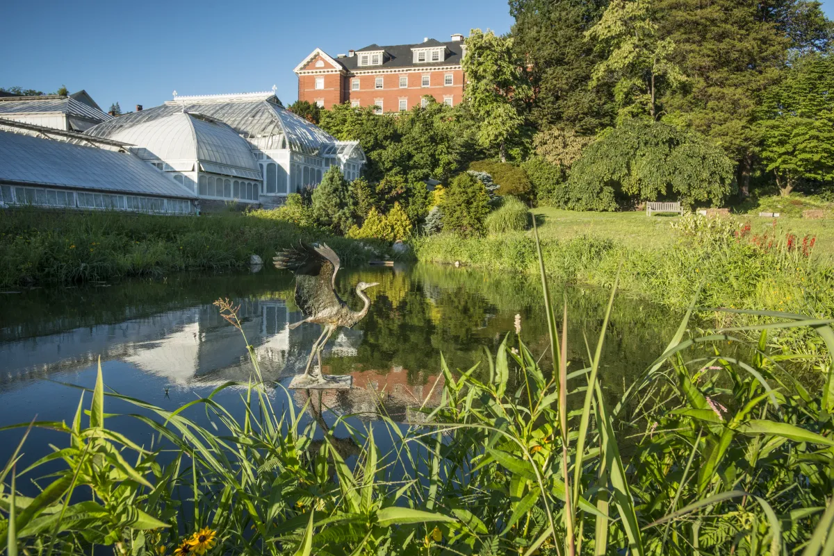 Lyman Conservatory and heron statue.