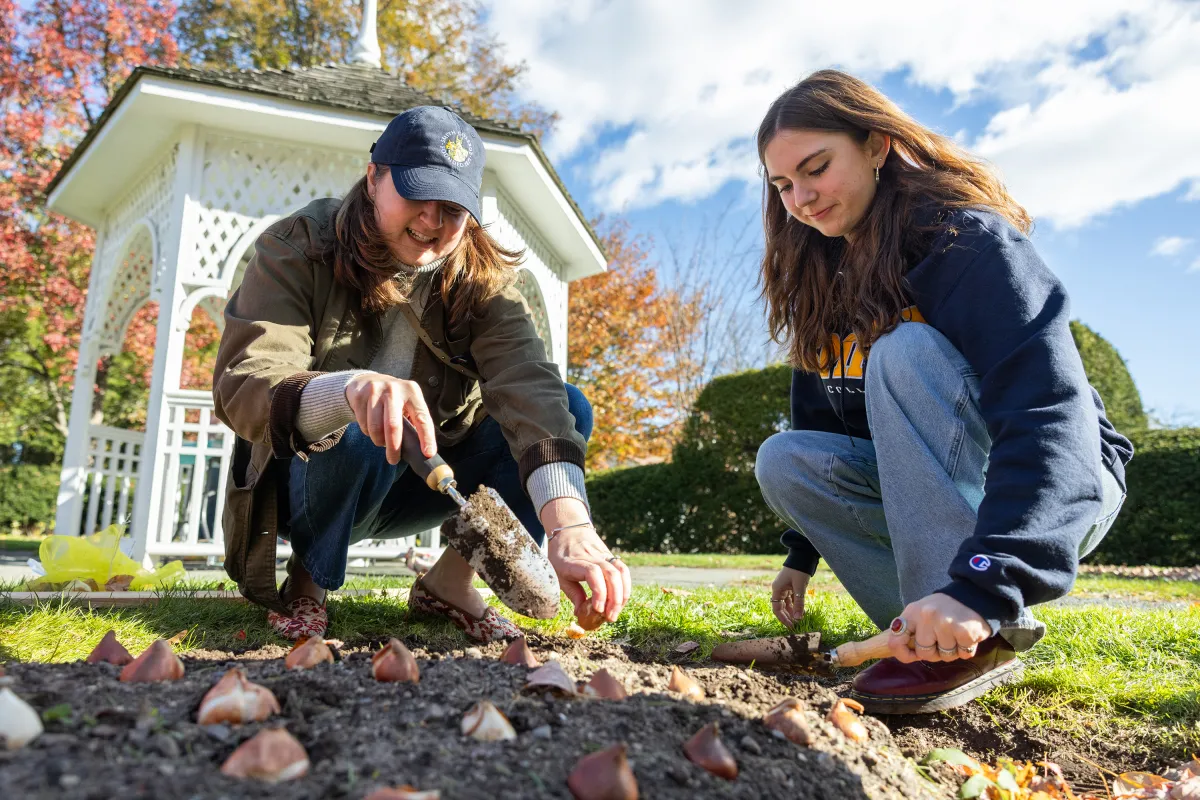 Two people plant garlic with CEEDS as part of Family Weekend.