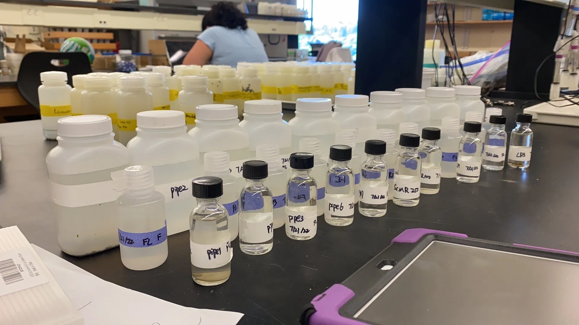 Rows of vials set up in a laboratory.