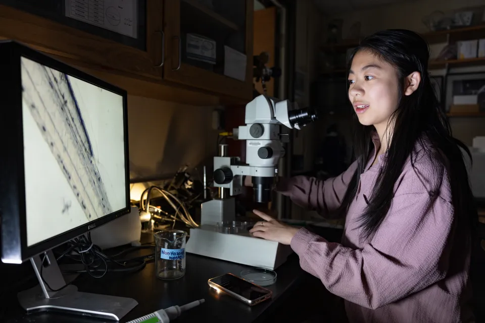 Sophia Liu in front of a microscope, looking at slides on a computer monitor