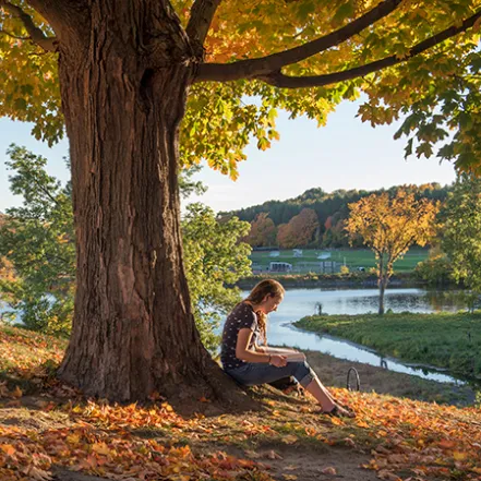 Student reading under an autumn tree